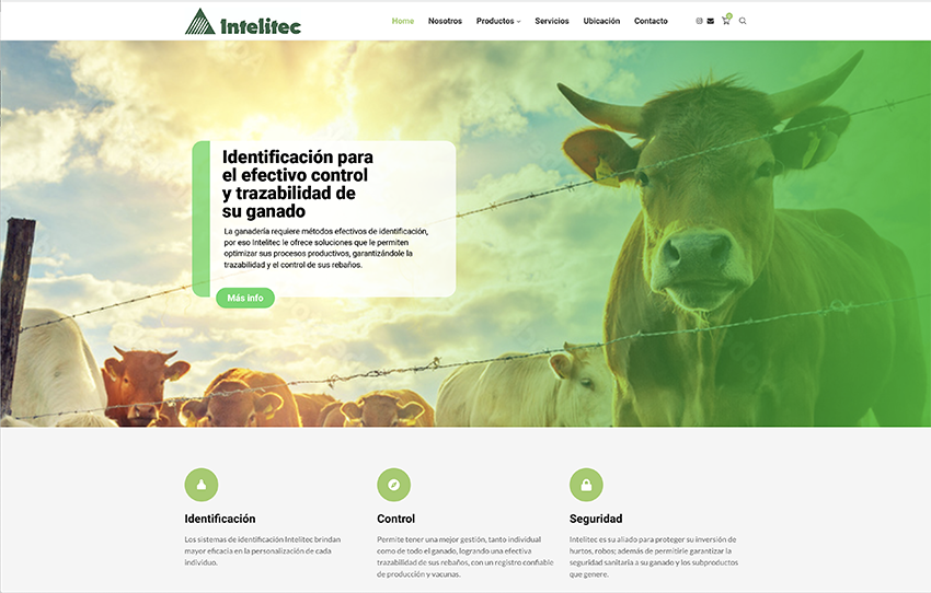www.intelitec.com
